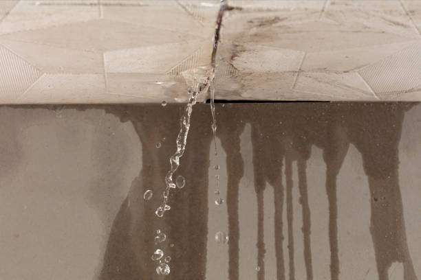 Professional Water Damage Repair technician working in Malone, FL